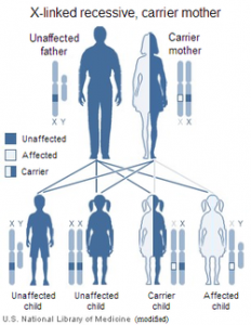 Testicular Feminization