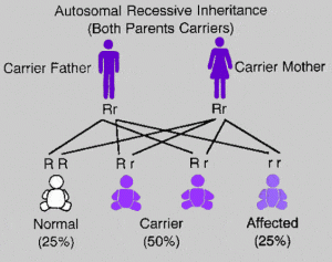 Adrenogenital syndrome