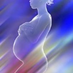 Female hormones - pregnancy