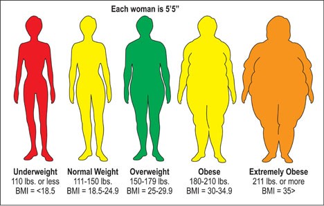 Average Bmi Chart