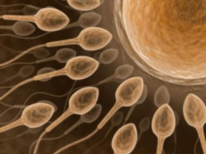 SPERM DONATION