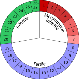 Rhythm Method - Fertility Awareness