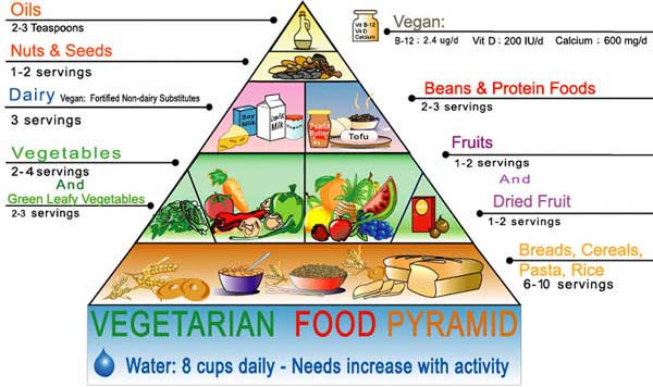 Food pyramid