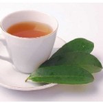 Graviola tea from leaves