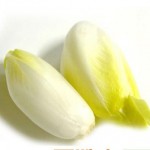 Chicory