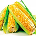 Corn health benefits
