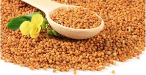 Mustard health benefits
