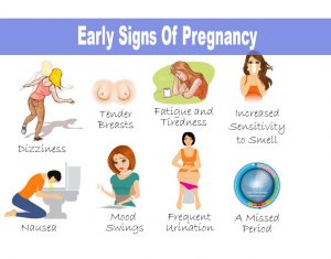Early pregnancy signs