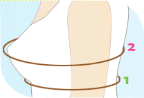 Taille du soutien-gorge
