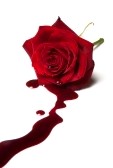 Pertes brun rougeâtre