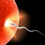 contraception masculine
