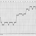 Basal temperature during pregnancy