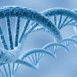 Turner Syndrome