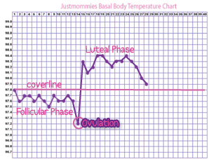 Basal Chart Not