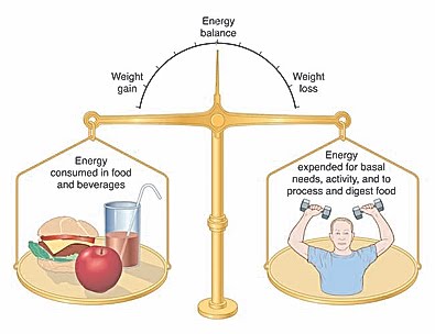 Diet, Food and Fitness,Diet and Weight Management,Fitness and Exercise,Healthy Food and Recipes,Weight Loss and Obesity