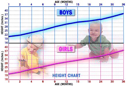 Height weight charts - Women Health Info Blog