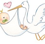 Pregnancy after ZIFT