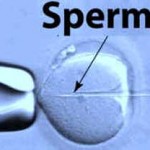 Intracytoplasmic Sperm Injection (ICSI)