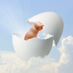 Infertility treatment
