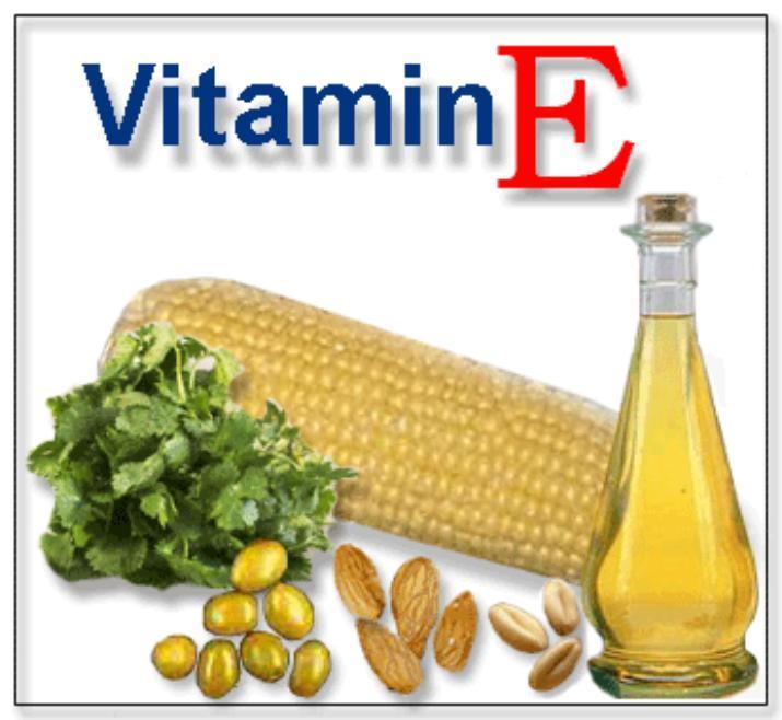Vitamin E Women Health Info Blog