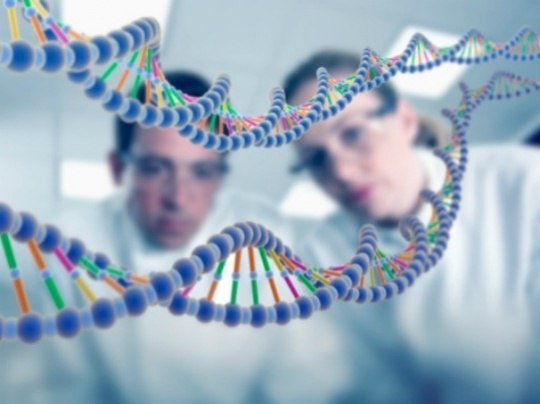 Aging – is it reversible ?