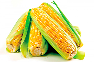 Corn health benefits