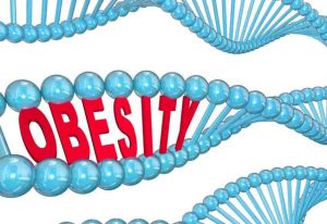 Obesity genetic factors