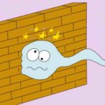 Top 5 barrier contraception