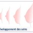 Développement de la poitrine à la puberté
