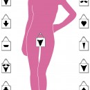 Styles de poils pubiens
