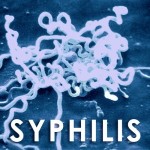 Transmission de la SYPHILIS
