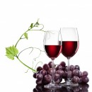 Bienfaits du vin rouge sur la santé