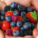 Aliments antivieillissement