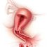 Saignement vaginal