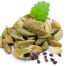 Cardamome et santé