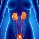 Infections urinaires